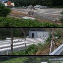 범물1동주민센터건너 버스정류장(용지아파트307동 앞) | [대구시 수성구] 수성구의 도시철도 모노레일 3호선을 걸어보다.