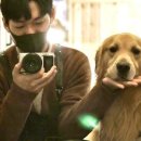 트래블카페 네이버블로그