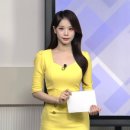 팍스아카데미학원 | [아나스타⭐수강후기] 팍스경제TV 증권프로그램 조하영 아나운서