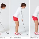 다이어트클럽 이미지