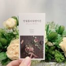 꽃내음약국 이미지