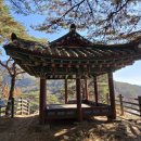 탁사정 | 제천여행 아이와. 베론성지 근처 또 하나의 제천 10경 탁사정. 산책은 가볍게, 힐링은 깊게