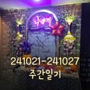 (주)레드와이씨 | [일상] 241021 - 241027 주간일기 : 인간은 같은 실수를 반복하지..