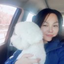 청운동물병원 이미지