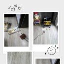 포레스트101