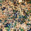 조가네 갑오징어 이미지