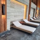 세이지우드 홍천산양목장 이미지