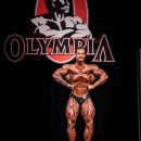 현대보디빌딩 이미지