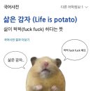 감자창고 | [평창] 강원도 평창 디저트 맛집 감자창고 내돈내산후기