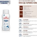 아이시유 | 창원에 로얄캐닌 리커버리 리퀴드 ICU 유동식 액상사료 판매하는 동물병원