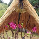 정홍모 | 다이콘시마(大根島) '모란(牡丹)의 집' 유시엔(由志園)을 거닐다