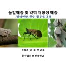 출석수업 _ 돌발해충 및 약제저항성 해충 _ 3/26일 이미지