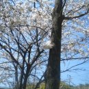 앗~~싸노래방 이미지