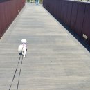 은행마을아주아파트 이미지