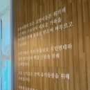 한사랑펫 | 부천 고양이카페 유기묘 모여있는 묘한사랑 애교 많은 고양이덜