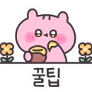 브레디쉬 네이버블로그