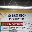 육회 꽃피다 이미지