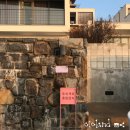 비고리조트 8 이미지