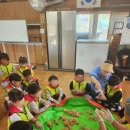 신진병설유치원 이미지