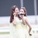 160731 에이프릴 과천 레츠런파크 무대 직찍 (BY.9호) 이미지