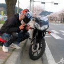 벚꽃로 이미지
