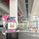 스포츠문화타운 | 수영구국민체육센터 자유수영 일일입장 후기