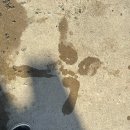 청주스파클 | 넓은 수영장에 미끄럼틀까지 있는 ”초정스파클펜션“