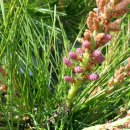 광의면사무소 앞 1 이미지