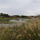 시흥 갯골생태공원 이미지