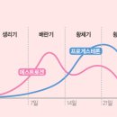 우아핏피트니스 분당미금점 이미지