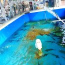 동해어때펜션 이미지