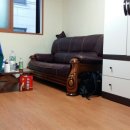 인헌동-45 이미지