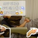 끌로디아