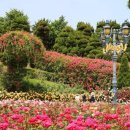 로즈가든 이미지