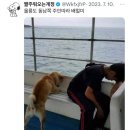 평화이발관