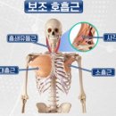 어몽뎀필라테스