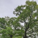 청하면사무소 이미지