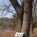 도서출판 한우