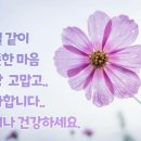 검은달빛님 이미지