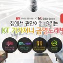 금영 동아일보