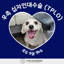 배방동물병원 이미지