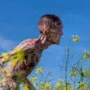 영화로 읽는 고전문학 이미지