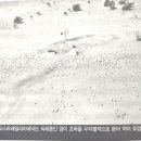 3현대사회의 위기/제13장 오스트레일리아의 '채굴' / 뿌리 깊은 영국식 가치관 1 이미지