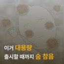 올리브영 간식 추천 | 올더베러 고구마스틱 솔직후기...