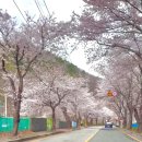 병산로 네이버블로그