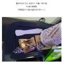 사파리모텔 이미지