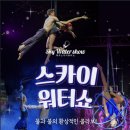 제주 스카이워터쇼 네이버블로그