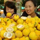 (주)농협하나로유통 하나로마트 이미지