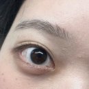 멜로즈 | 강남 속눈썹펌 멜로즈뷰티 후기 자연스러운 블랙틴팅펌 추천