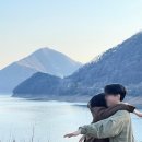 청풍황금송어 이미지